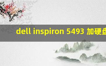 dell inspiron 5493 加硬盘